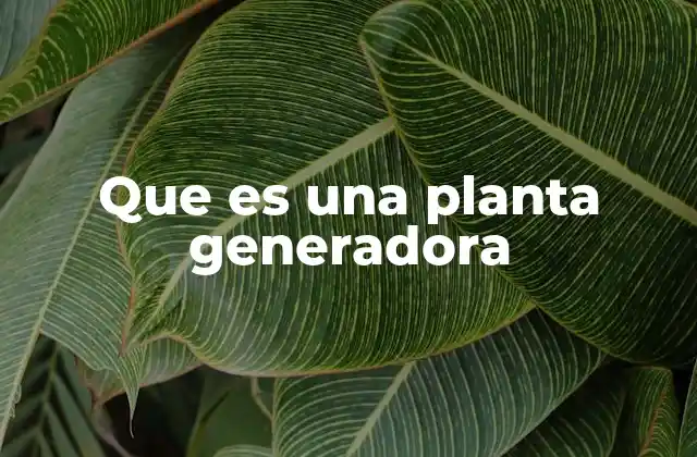 Que es una Planta Generadora