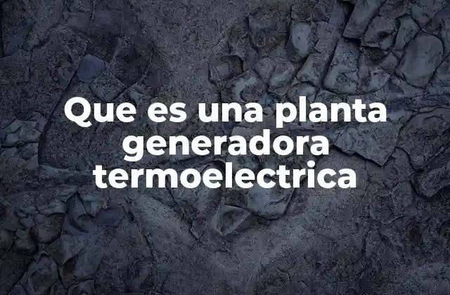 Que es una Planta Generadora Termoelectrica
