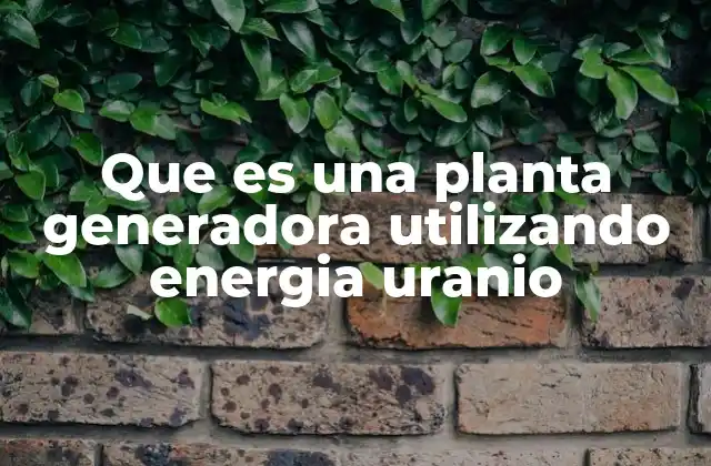 Que es una Planta Generadora Utilizando Energia Uranio