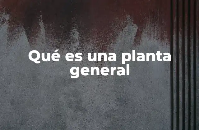 Qué es una Planta General