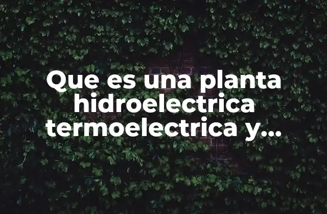 Que es una Planta Hidroelectrica Termoelectrica y Nucleoelectrica