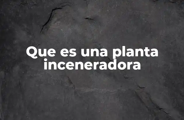 Que es una Planta Inceneradora