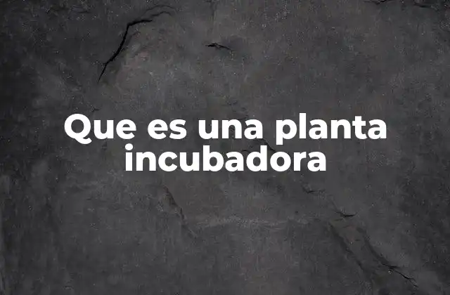 Que es una Planta Incubadora