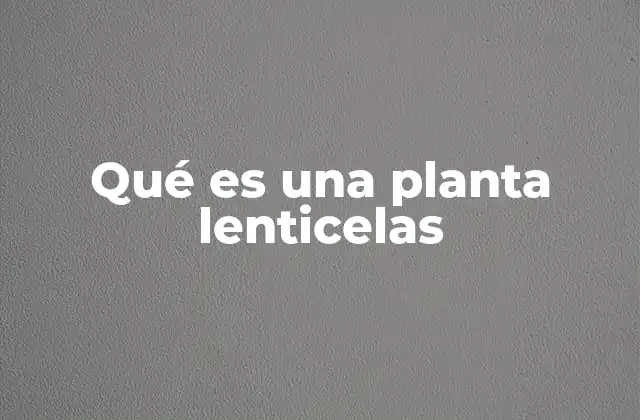 Qué es una Planta Lenticelas