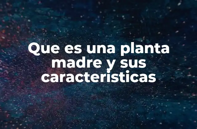 Que es una Planta Madre y Sus Caracteristicas 2 La base de la propagación vegetativa