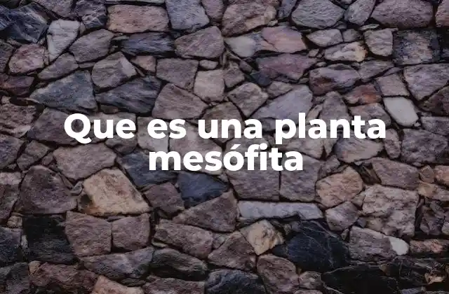Que es una Planta Mesófita