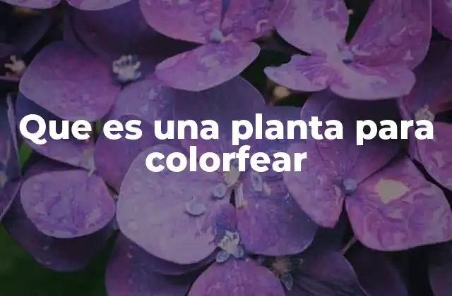 Que es una Planta para Colorfear