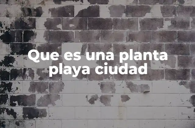 Que es una Planta Playa Ciudad