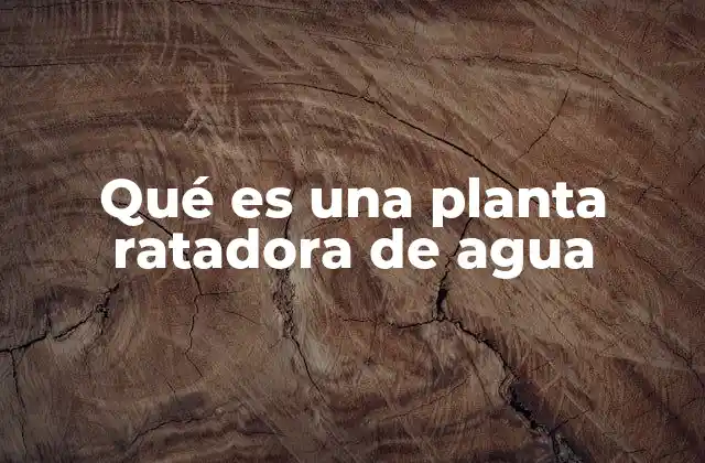 Qué es una Planta Ratadora de Agua