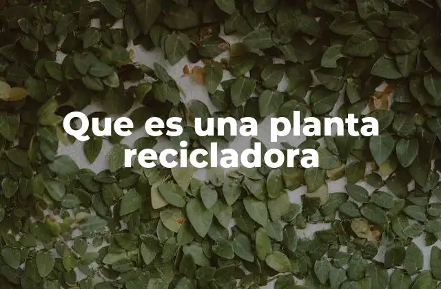 El papel de las plantas recicladoras en la gestión de residuos