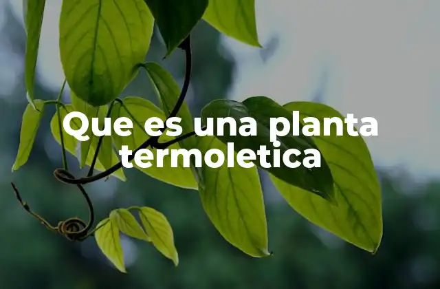 Que es una Planta Termoletica
