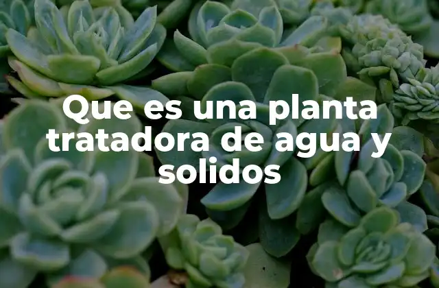 Que es una Planta Tratadora de Agua y Solidos