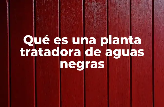 Qué es una Planta Tratadora de Aguas Negras 2 La importancia de las estaciones depuradoras en la gestión ambiental