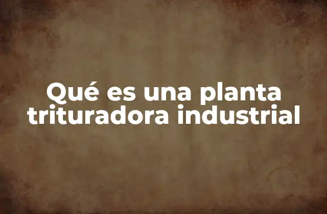 Qué es una Planta Trituradora Industrial 2 El rol de la trituración en la cadena de producción industrial