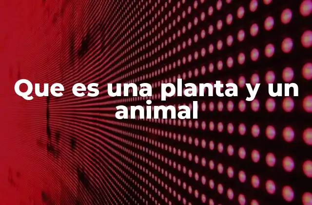 Que es una Planta y un Animal