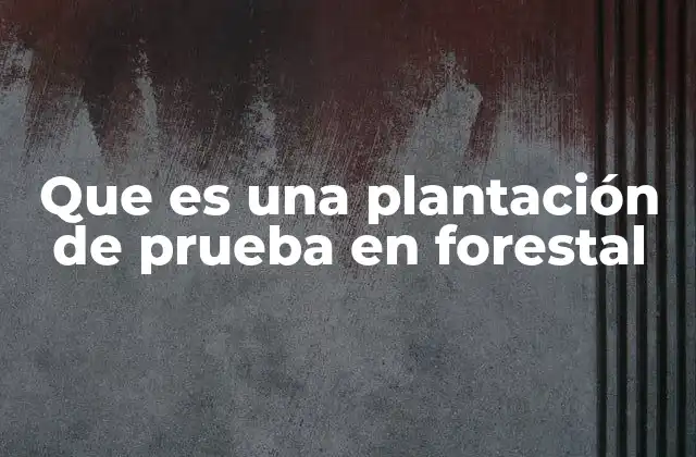 Que es una Plantación de Prueba en Forestal 2 El rol de las plantaciones piloto en la gestión forestal sostenible
