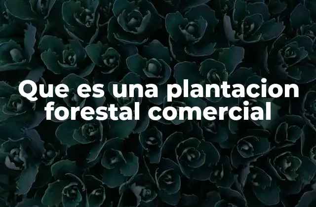 Que es una Plantacion Forestal Comercial
