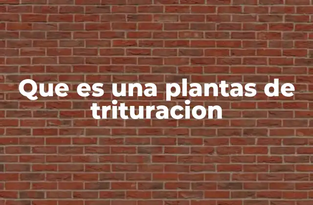 Que es una Plantas de Trituracion 2 Componentes esenciales de una planta de trituración