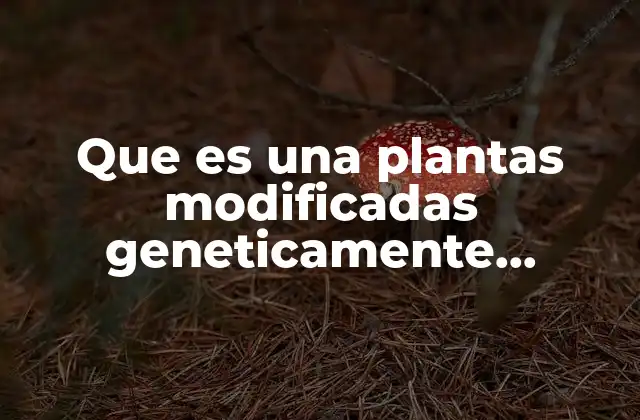 Que es una Plantas Modificadas Geneticamente Ejemplos 2 La biotecnología aplicada a la agricultura