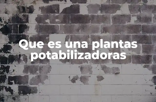 Que es una Plantas Potabilizadoras