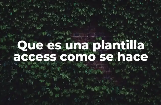 Que es una Plantilla Access como Se Hace