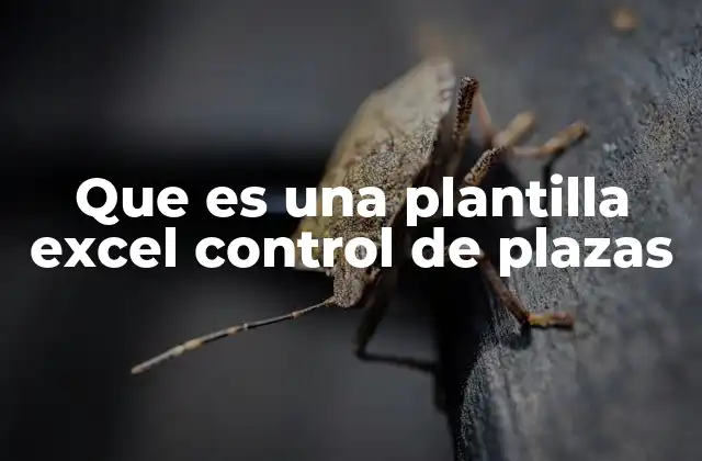 Que es una Plantilla Excel Control de Plazas