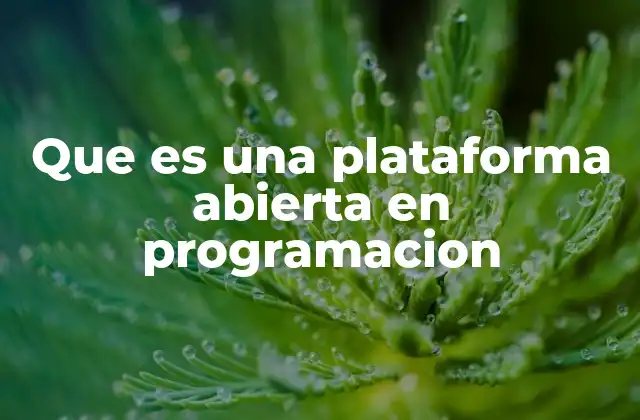 Que es una Plataforma Abierta en Programacion