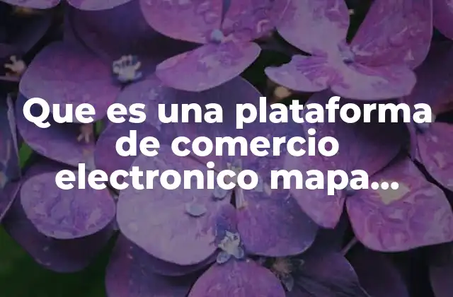 Que es una Plataforma de Comercio Electronico Mapa Conceptual 2 Cómo se estructura una representación visual de un sistema de e-commerce