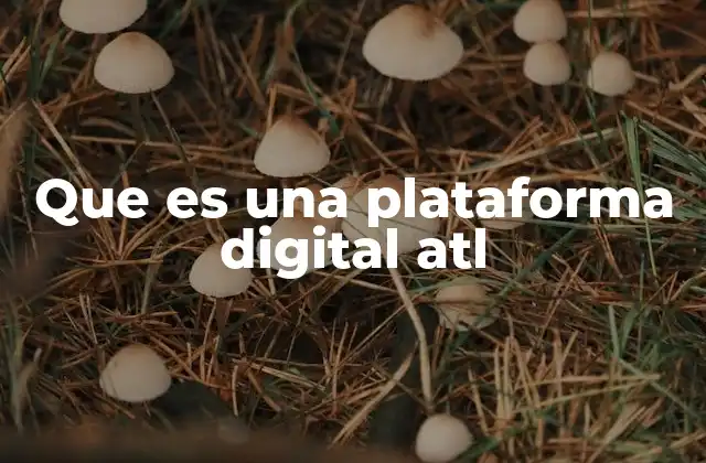 Que es una Plataforma Digital Atl