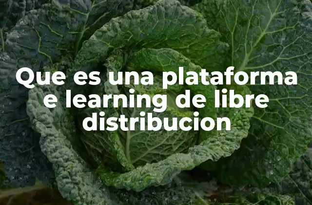 Que es una Plataforma e Learning de Libre Distribucion 2 Cómo las plataformas e-learning abren nuevas oportunidades educativas