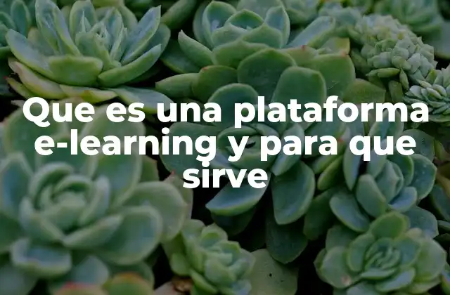 Que es una Plataforma E-learning y para que Sirve