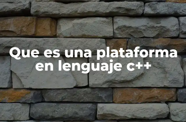 Que es una Plataforma en Lenguaje C++