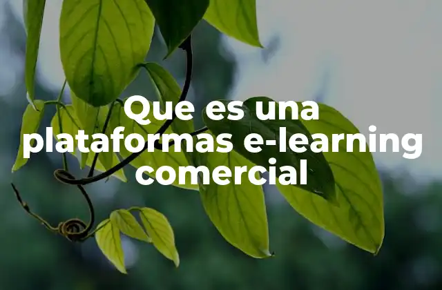Que es una Plataformas E-learning Comercial
