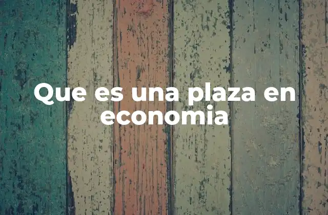 Que es una Plaza en Economia