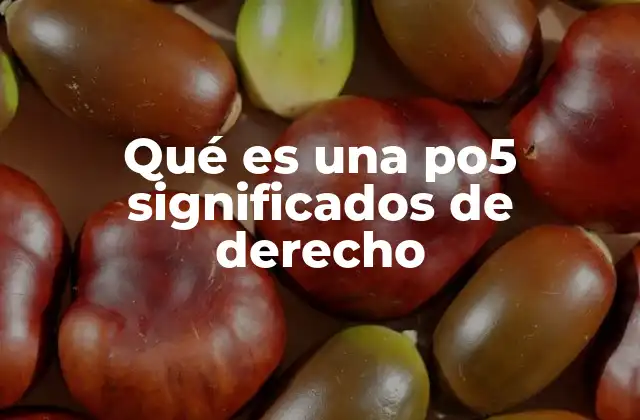 Qué es una Po5 Significados de Derecho