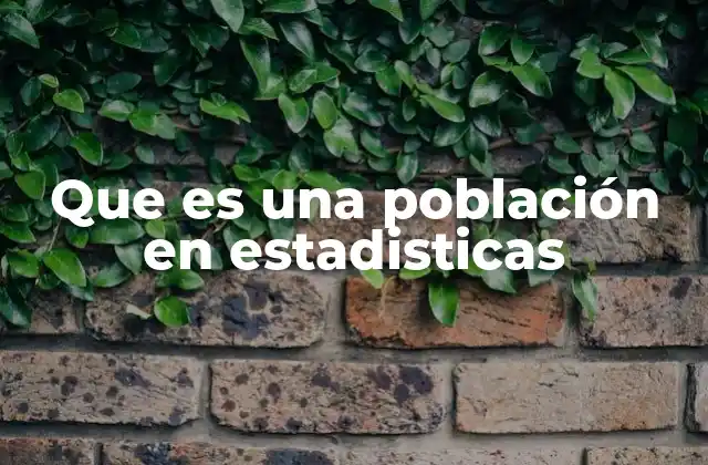 Que es una Población en Estadisticas