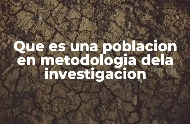 Que es una Poblacion en Metodologia Dela Investigacion