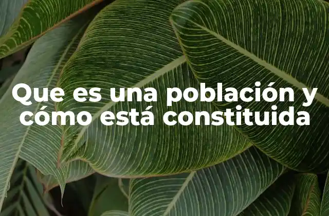 Que es una Población y Cómo Está Constituida
