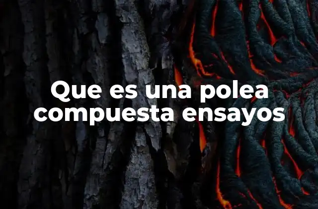 Que es una Polea Compuesta Ensayos