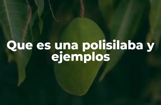 Que es una Polisilaba y Ejemplos
