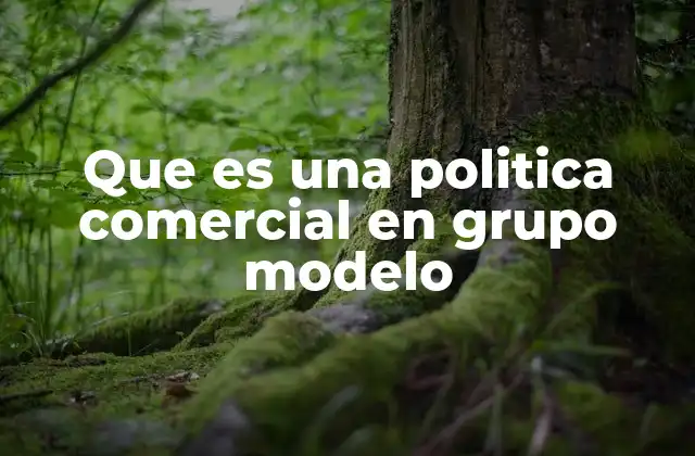 Que es una Politica Comercial en Grupo Modelo