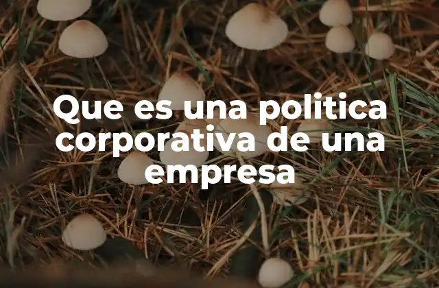 Que es una Politica Corporativa de una Empresa