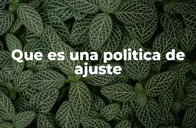 Que es una Politica de Ajuste