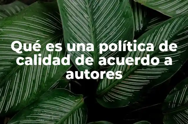 Qué es una Política de Calidad de Acuerdo a Autores