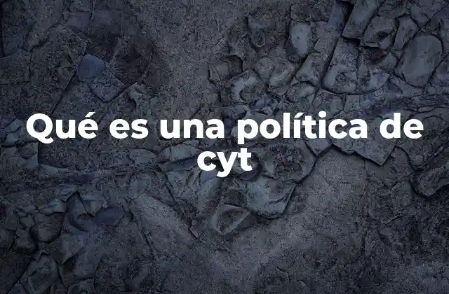 Qué es una Política de Cyt