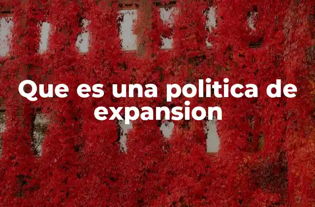 Que es una Politica de Expansion