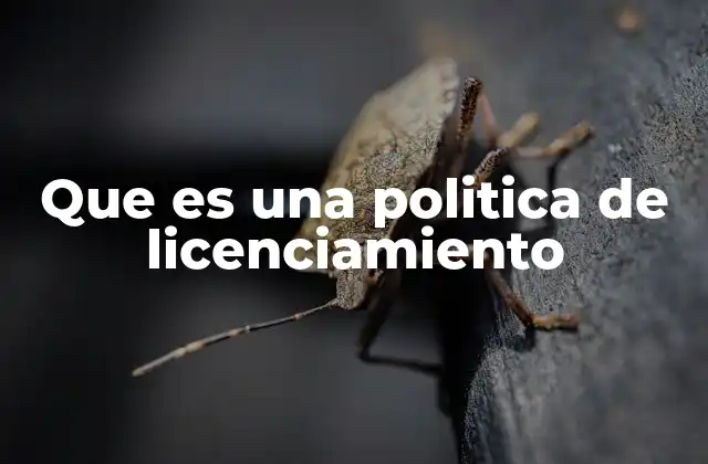 Que es una Politica de Licenciamiento
