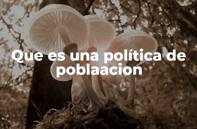 El impacto de las políticas demográficas en la sociedad