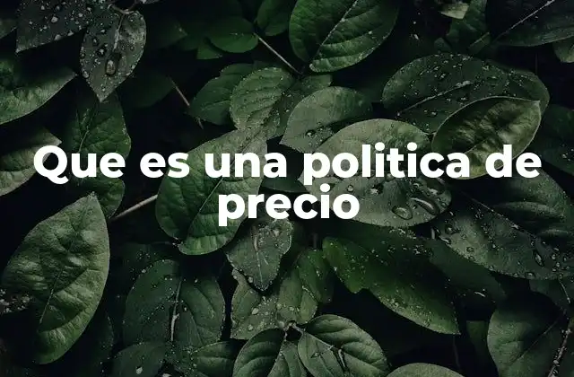 Que es una Politica de Precio