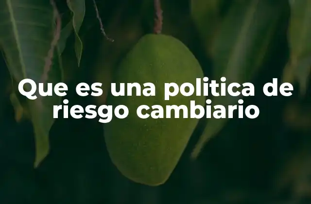 Que es una Politica de Riesgo Cambiario